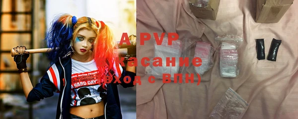 гашик Белокуриха
