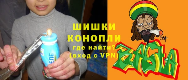 сатива Белоозёрский