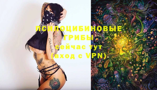 гашик Белокуриха