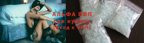гашик Белокуриха