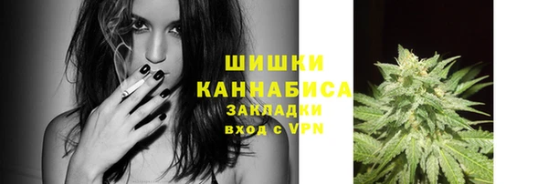 гашик Белокуриха