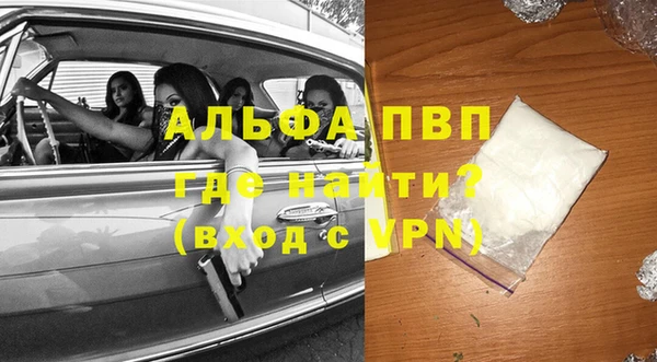 сатива Белоозёрский
