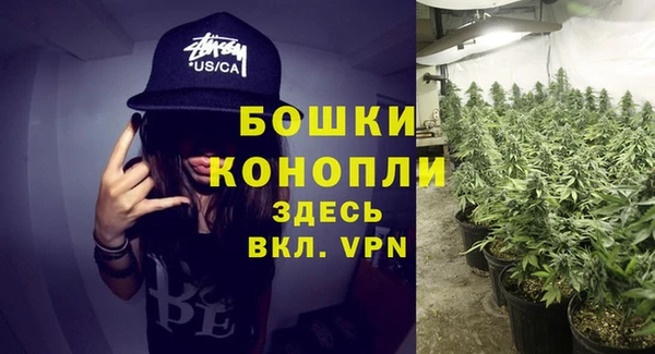 гашик Белокуриха
